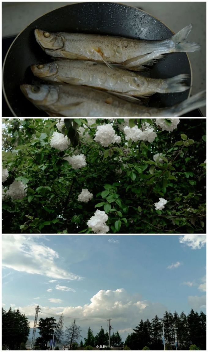 假 如 摄 影 师 不 拍 人 像 ...