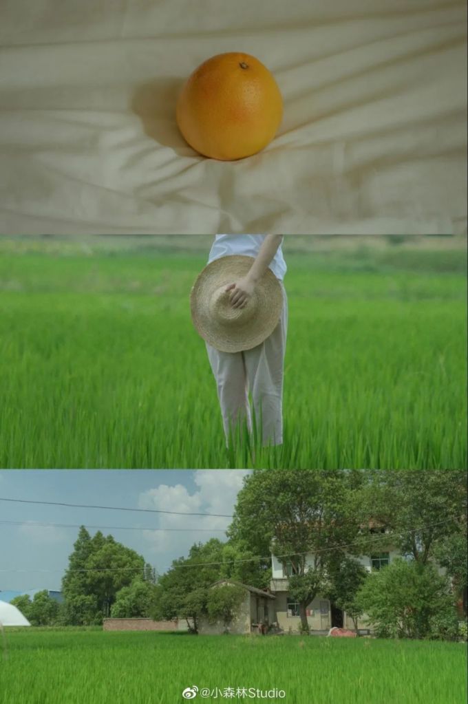 假 如 摄 影 师 不 拍 人 像 ...