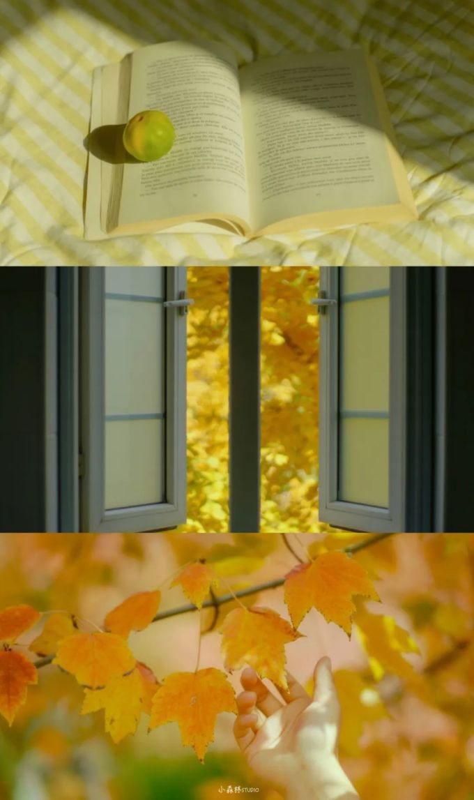 假 如 摄 影 师 不 拍 人 像 ...