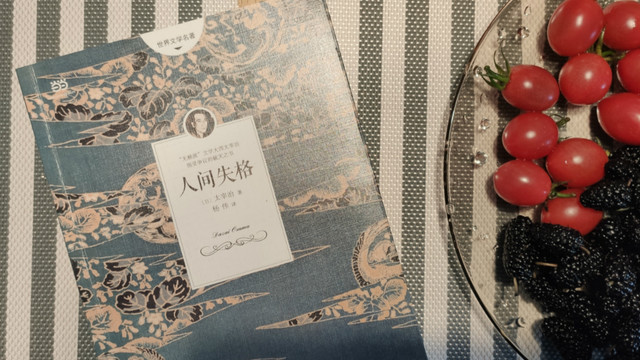 生而为人 我很抱歉 被嫌弃 的太宰治部分作品推荐 图书杂志 什么值得买