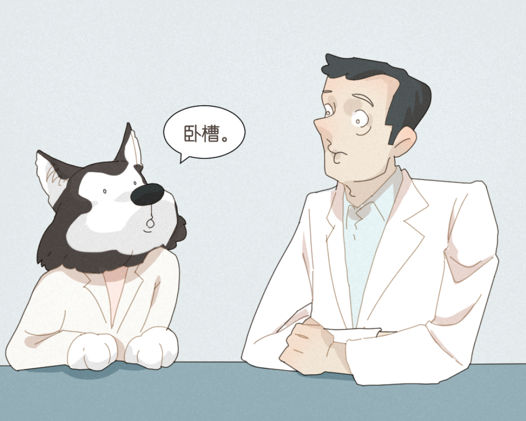 说了多少次,师兄电脑里的小视频不能看!