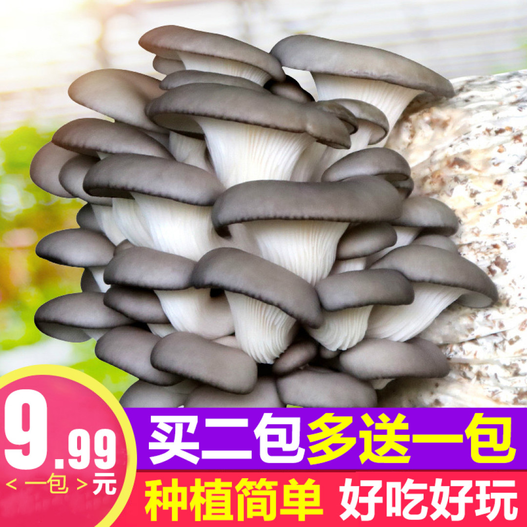 如果现实世界爆发丧尸潮 你应该怎么办