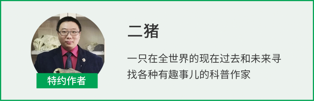 9年才成功，熊猫交配这么困难？不，人家在野外快活着呢