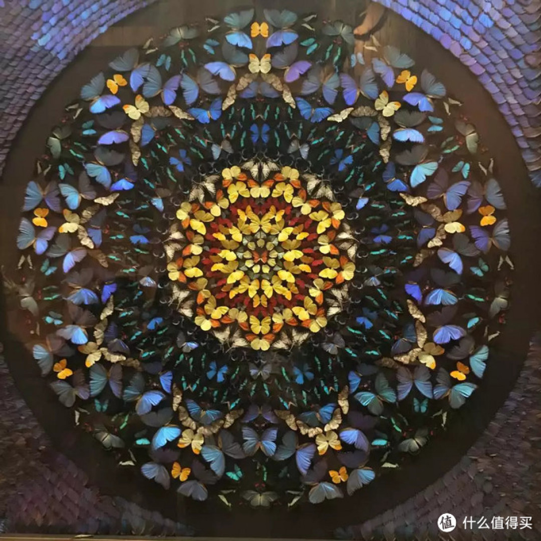 盤點(diǎn)京滬9個適合帶娃逛的博物館、科技館 學(xué)玩兩不誤！