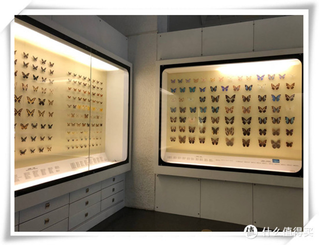 盤點(diǎn)京滬9個適合帶娃逛的博物館、科技館 學(xué)玩兩不誤！