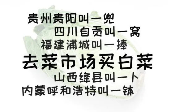 这本有关方言的工具书很贵又很专，但我们忍不住推荐因为太好玩