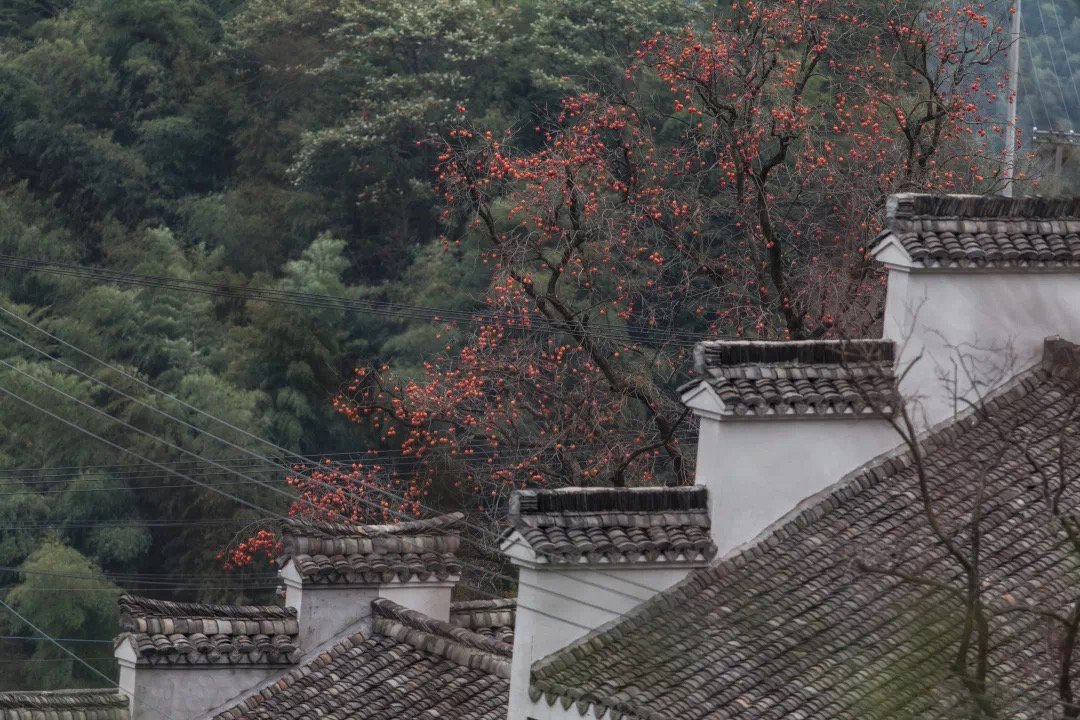 不聚集不扎堆 这条浙江绝美盘山公路 特别适合自驾去兜兜风