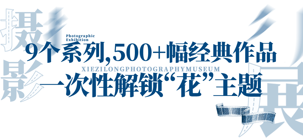 9个系列，500 幅作品！《荒木经惟·花幽》巡展终于来长沙了！