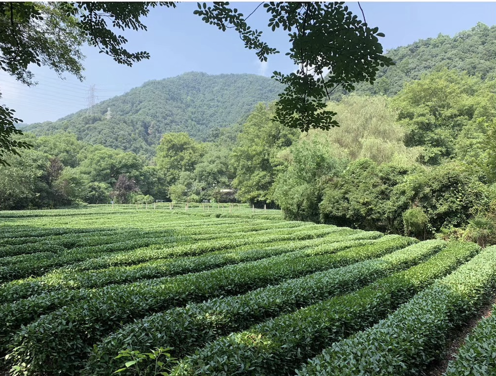 不出市区！解锁隐藏玩法！杭州西湖边9条线路推荐给你！当地人也会去！超全的！