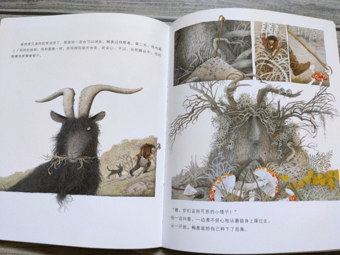 湖北美术出版社绘本/图画书