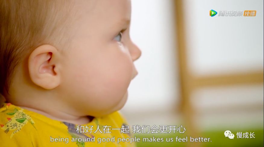 你了解自己的孩子吗？BBC最新脑科学纪录片，颠覆我们的认知