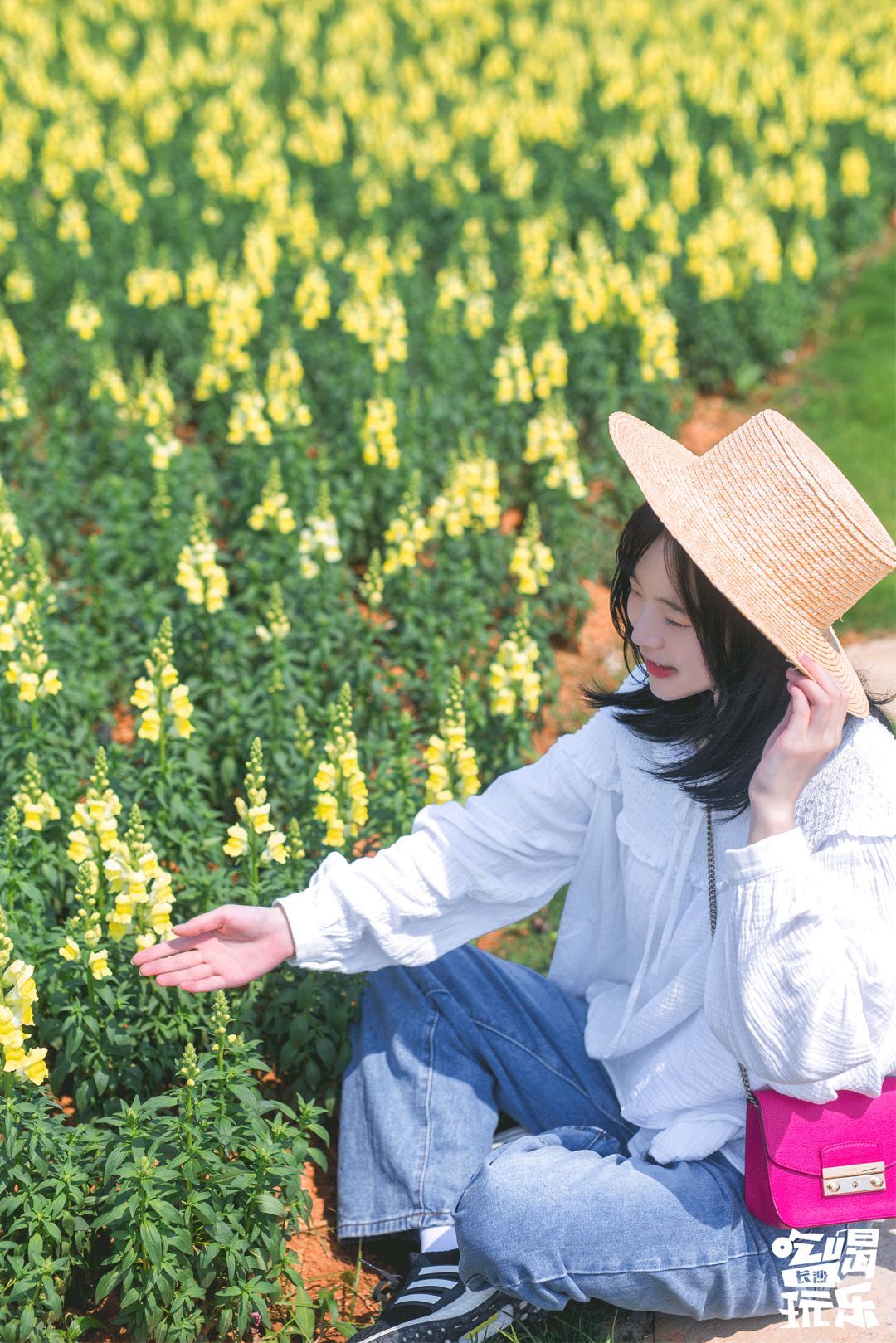 藏于长沙周边的“秘密花园”！千亩绝美花海邀你定格春日之美~