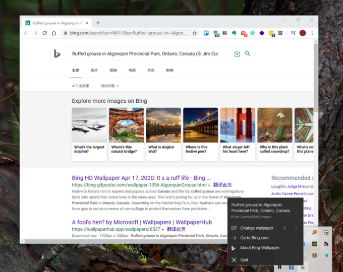Windows 壁纸软件又一新选择 Bing 让你每天换上好看壁纸 软件应用