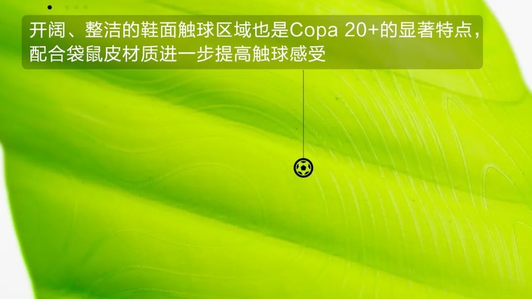 咦？这双COPA似曾相识？