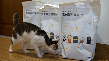 毛绒派 豆腐猫砂简测——我要在张大妈合法晒猫了！