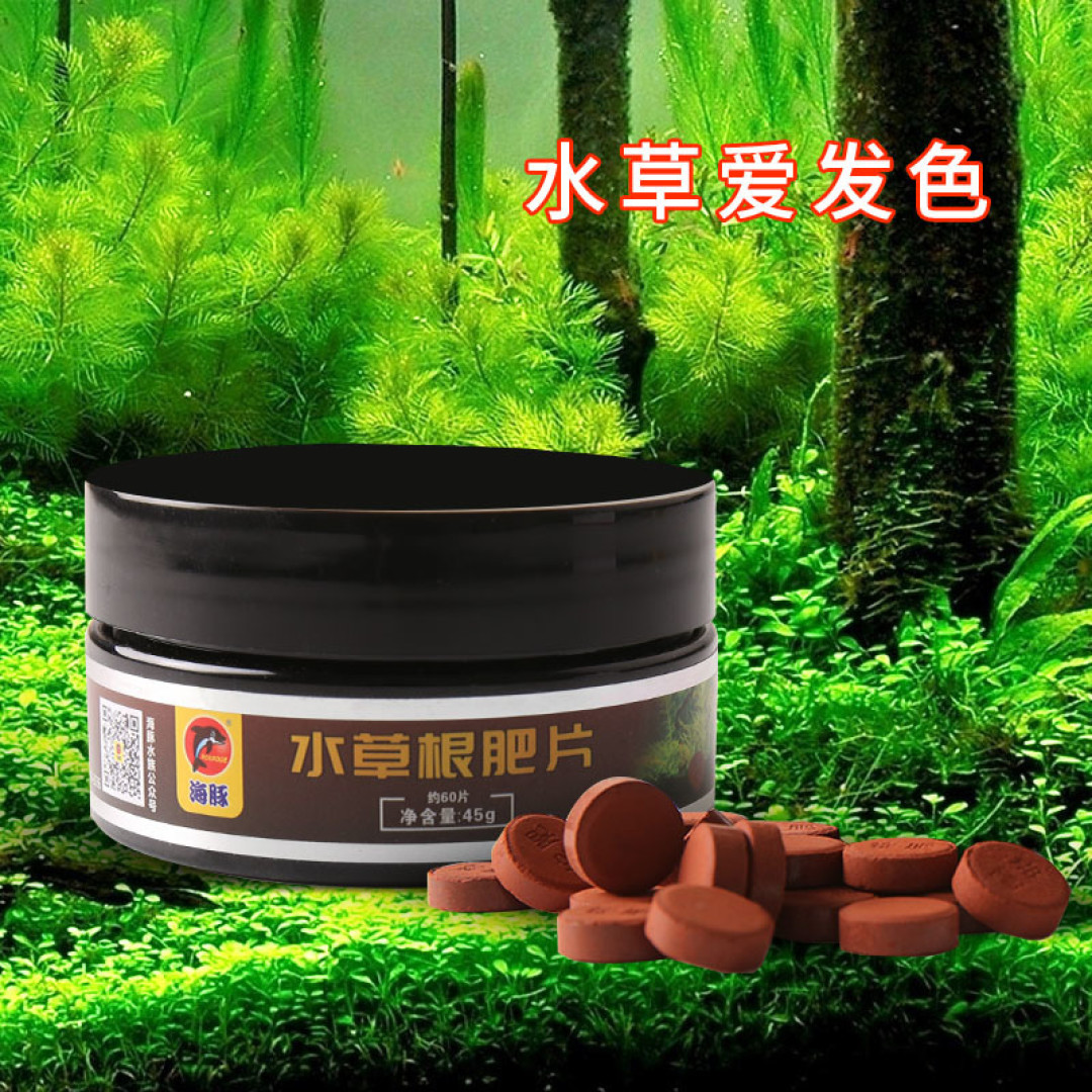 带你真的种点草吧!新手开缸~花很少的钱~帮你搞定一口缸!