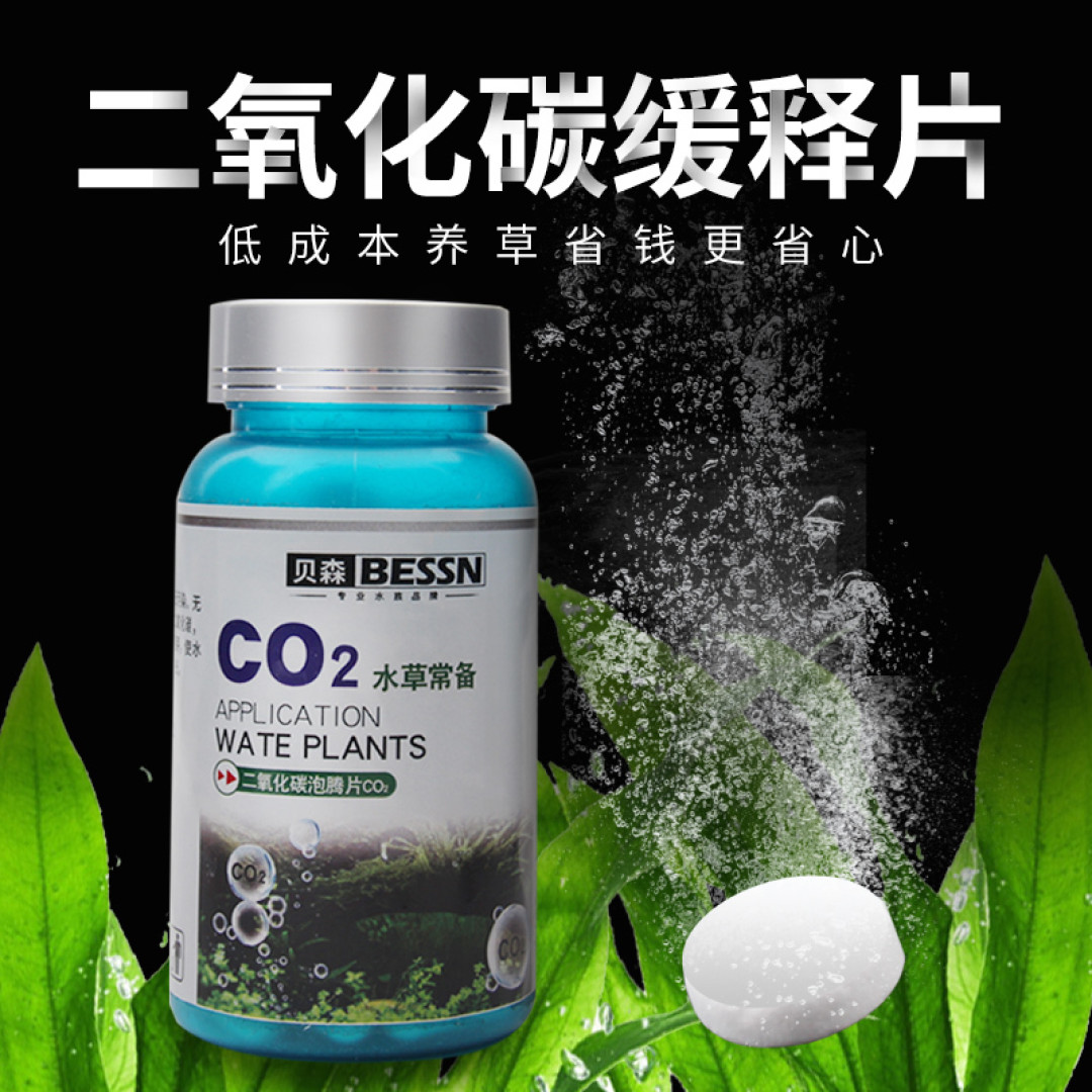 带你真的种点草吧!新手开缸~花很少的钱~帮你搞定一口缸!