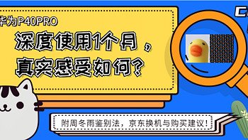 华为P40PRO深度使用1个月，真实感受如何？附周冬雨鉴别法，京东换机与购买建议！