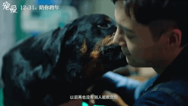 “忠犬八公”的训练师在中国的第一部电影