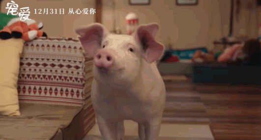 “忠犬八公”的训练师在中国的第一部电影