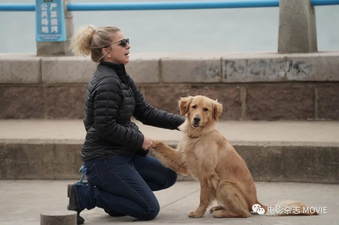 “忠犬八公”的训练师在中国的第一部电影