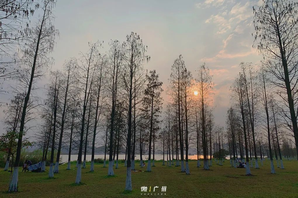 全广州最美的日落，就藏在这8个地方！