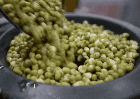 中国哪里的主食最好吃?