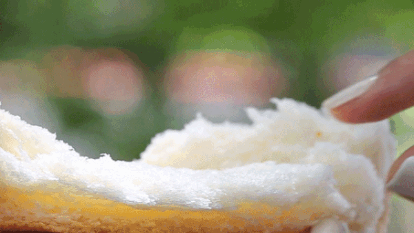 不加一滴水!居然能像棉花糖般绵软!这样的吐司你吃过吗?