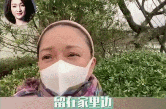 从陈数到刘敏涛,“姐系”审美真的来了吗?