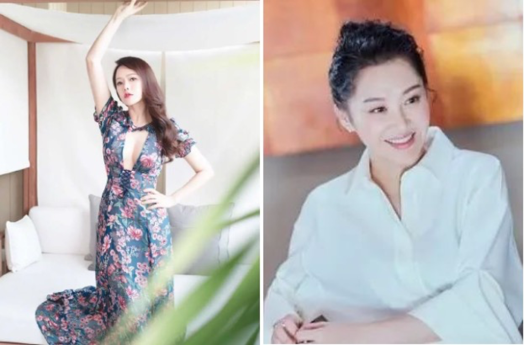 从陈数到刘敏涛,“姐系”审美真的来了吗?