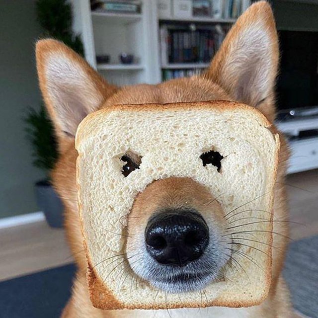 贫穷工地男孩儿的平价护肤品使用感受