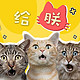 新手养猫指南——这12款最高不超9.9的猫玩具快给主子安排吧！