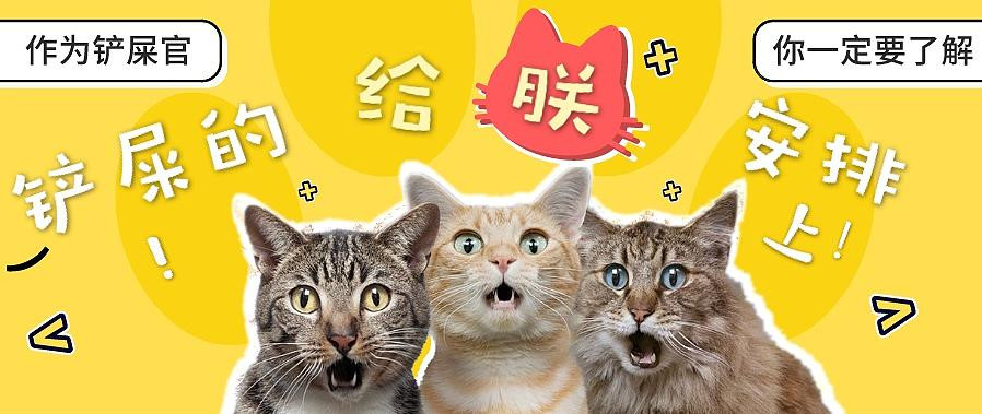 新手养猫指南进阶篇——8款智能好物提升你的养宠幸福感！