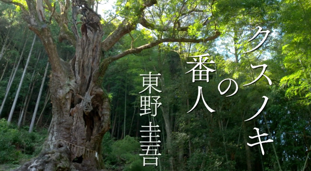 书展翻了100多本书,我给你挑出了这15本,看完购物车就满了!文末大手笔送书~