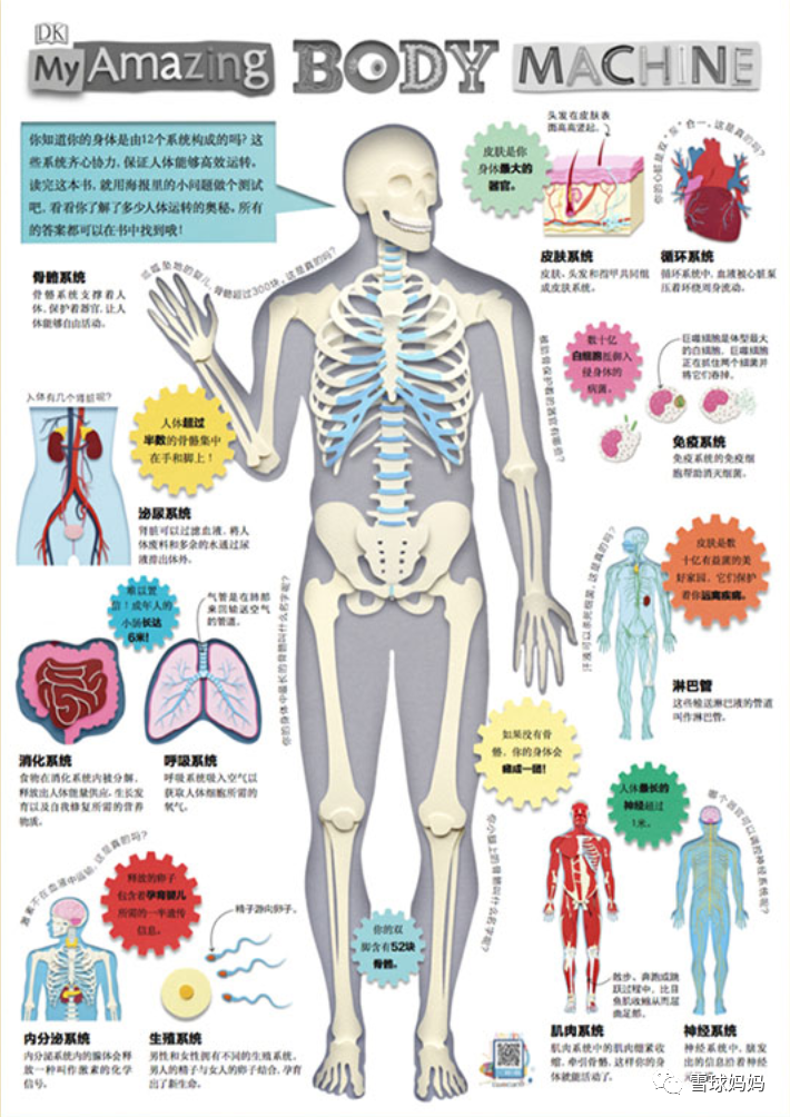 科普绘本| 中国孩子最缺的人体科学启蒙，我推荐这些书