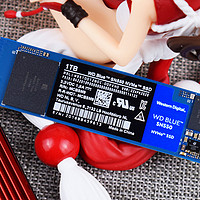可靠的性价比之选，西部数据WD Blue SN550 NVMe SSD固态硬盘开箱评测
