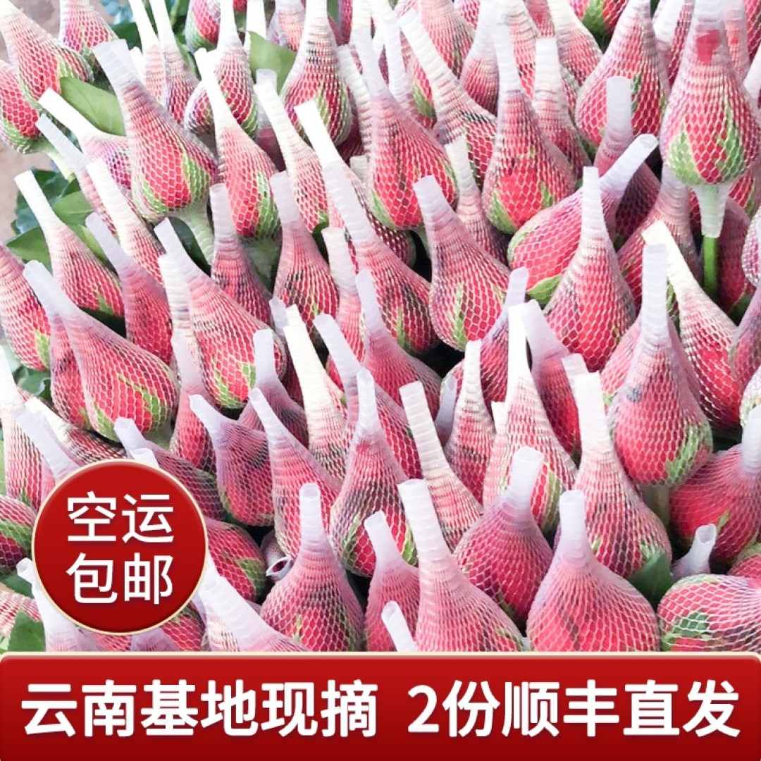 因为一束花，改变一天的心情
