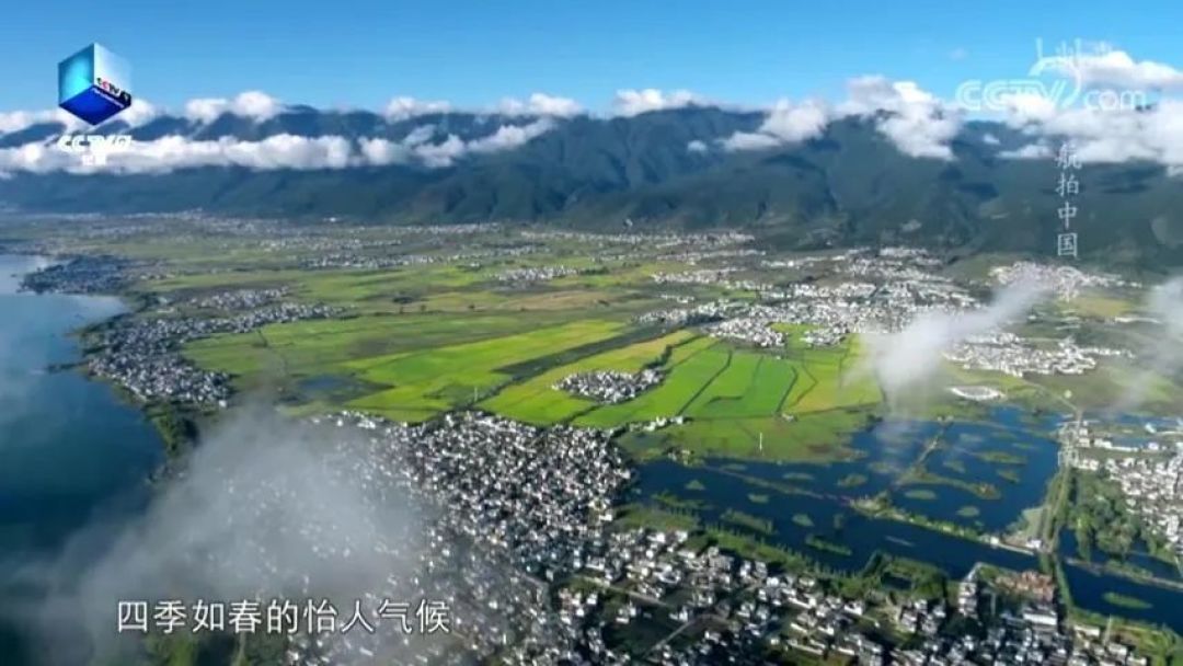 豆瓣9.1！央视用行动证明，你大爷永远是你大爷！
