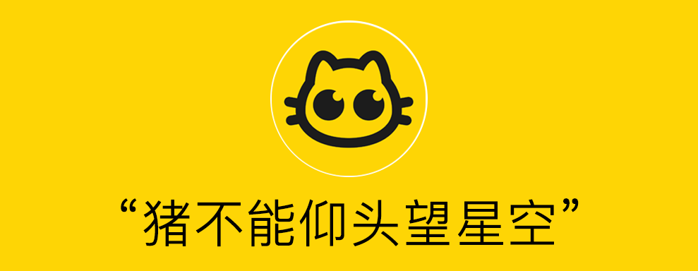 科普向｜啥！猫有肚脐眼？暹罗猫容易得斗鸡眼？？？？？？？