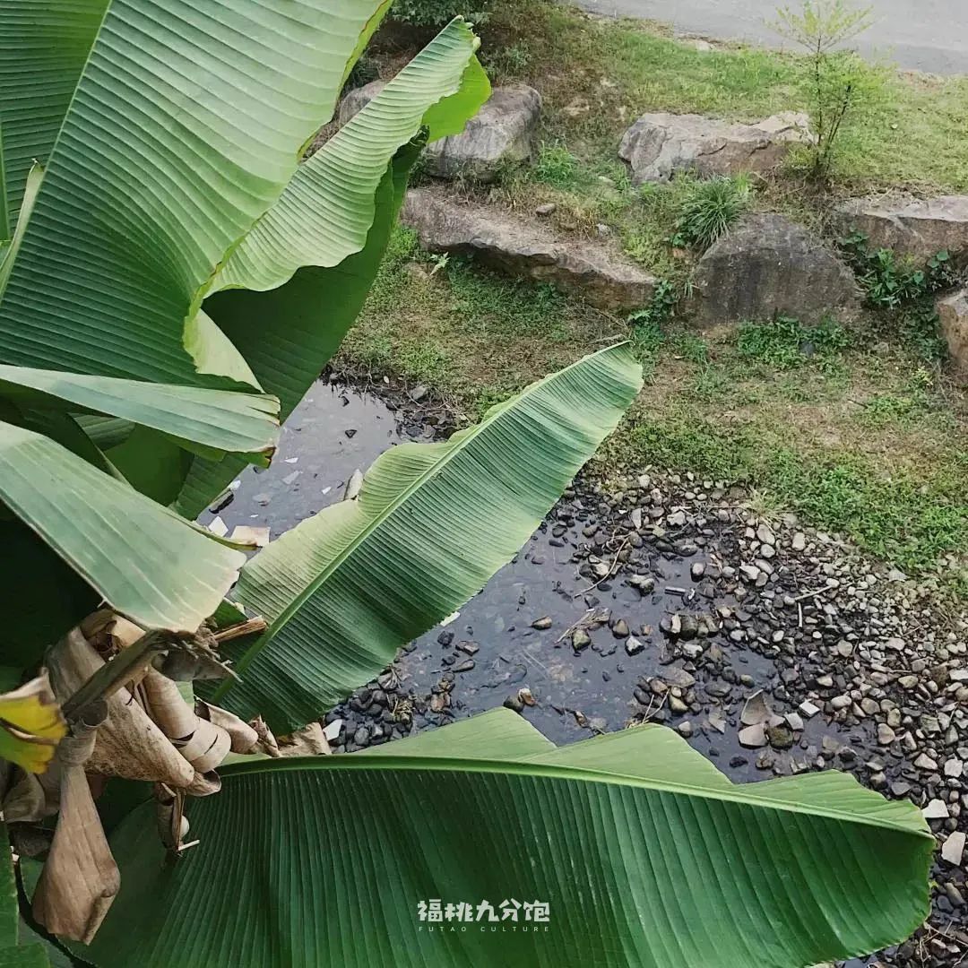 道士下山,是为了吃面