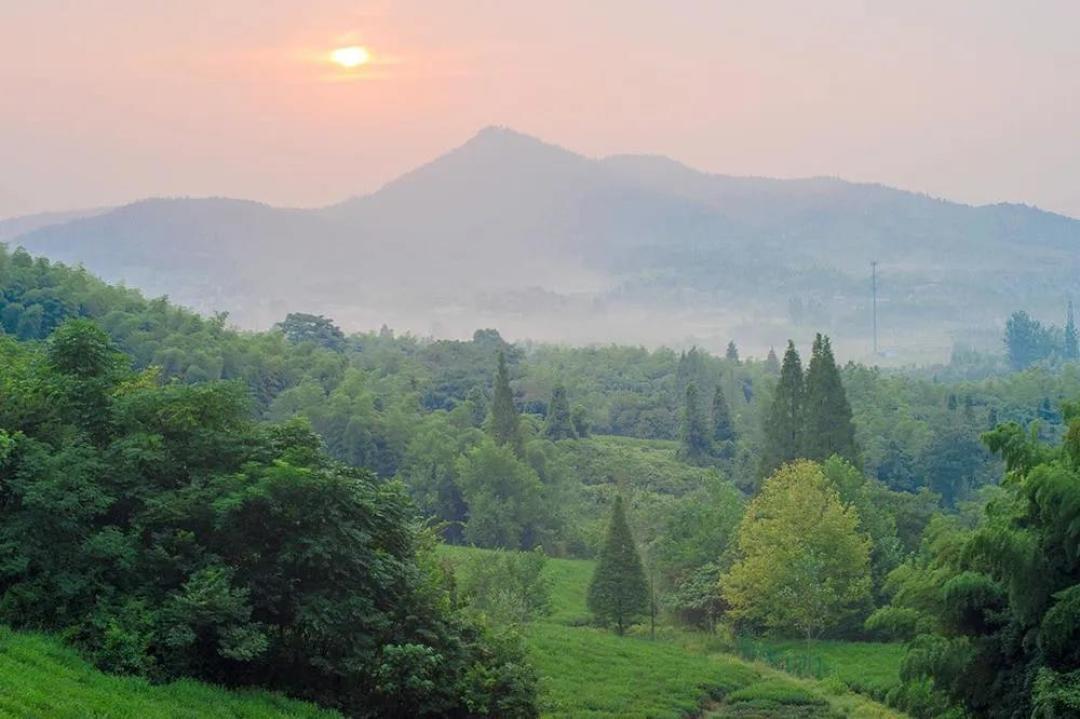 亲子旅游618特辑 | 走出京津冀,夏日旅行目的地+囤房券指南