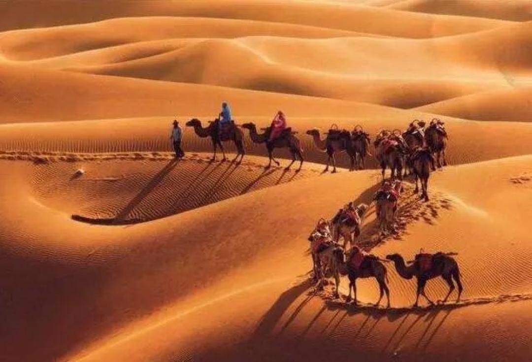 亲子旅游618特辑 | 走出京津冀,夏日旅行目的地+囤房券指南
