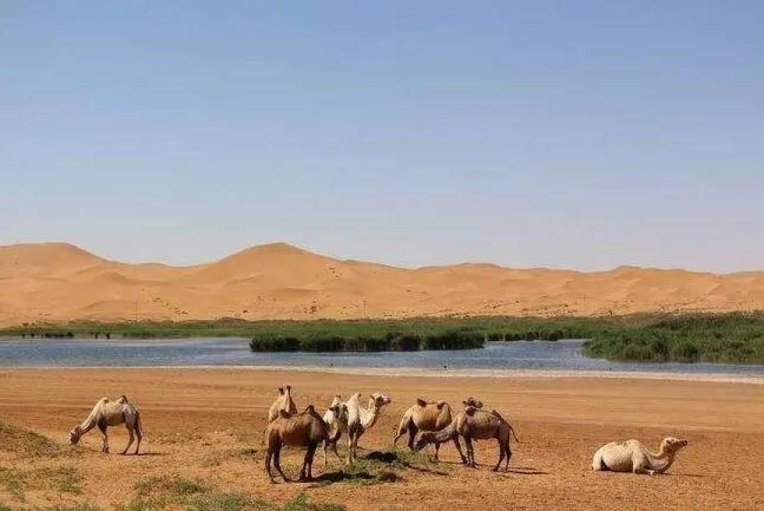 亲子旅游618特辑 | 走出京津冀,夏日旅行目的地+囤房券指南