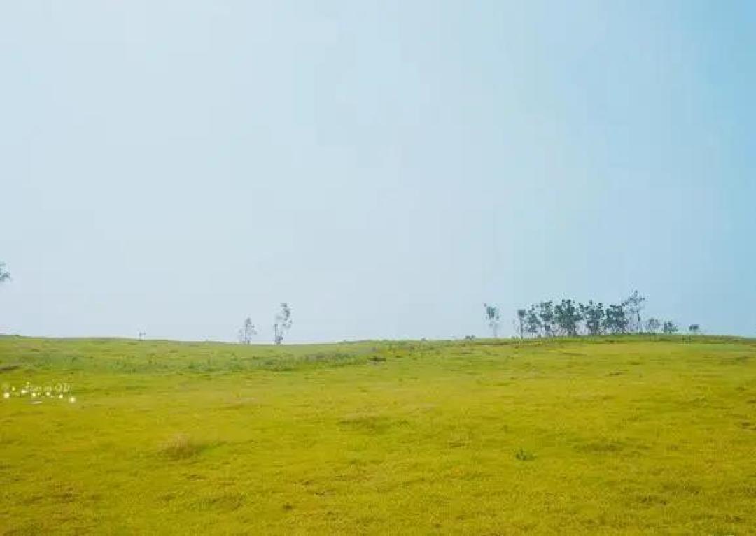 亲子旅游618特辑 | 走出京津冀,夏日旅行目的地+囤房券指南