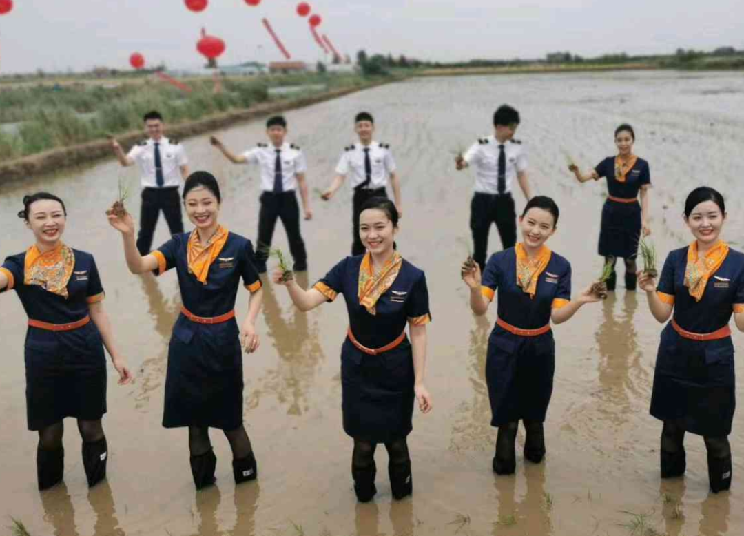 青岛航空回应空乘穿制服下地插秧