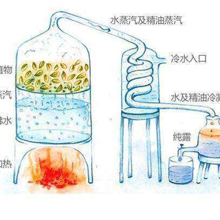 专业调香师入门第2课——精油提取方法详解篇一(蒸馏法)