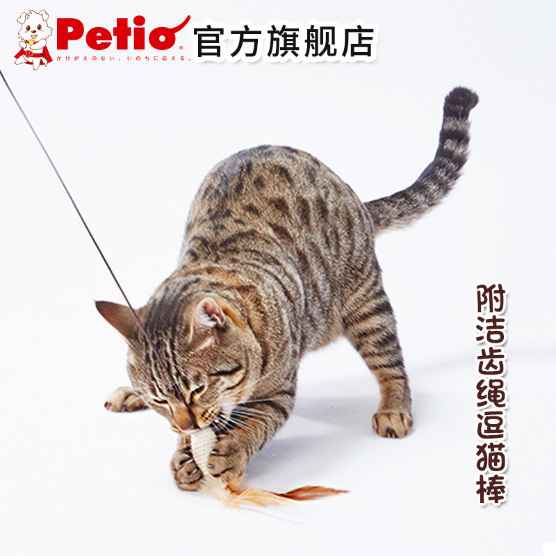 猫用品推荐 | 玩了3年的玩具，居然仍被Pick？