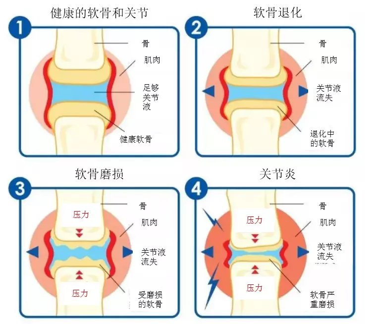 父亲节送礼太难了！什么礼物实用不矫情？（无推广）