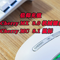 Cherry MX BOARD 8.0 机械键盘&Cherry MC 8.1 RGB游戏鼠标评测