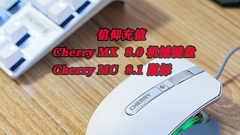 Cherry MX BOARD 8.0 机械键盘&Cherry MC 8.1 RGB游戏鼠标评测